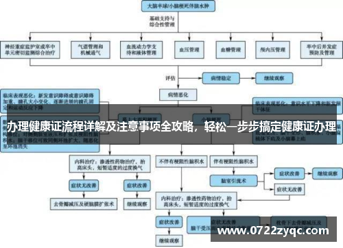 办理健康证流程详解及注意事项全攻略，轻松一步步搞定健康证办理