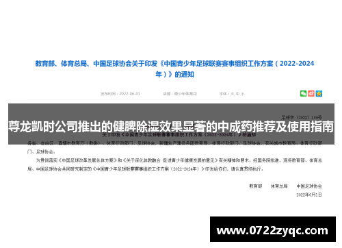 尊龙凯时公司推出的健脾除湿效果显著的中成药推荐及使用指南